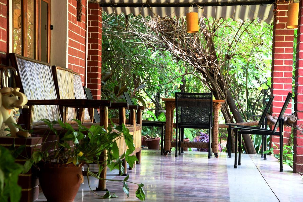 Baaz Jungle Resort Khawāsa エクステリア 写真