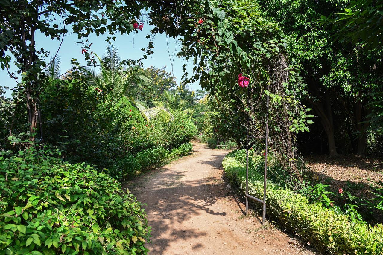 Baaz Jungle Resort Khawāsa エクステリア 写真