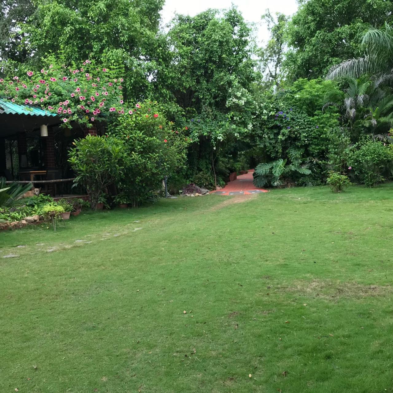 Baaz Jungle Resort Khawāsa エクステリア 写真