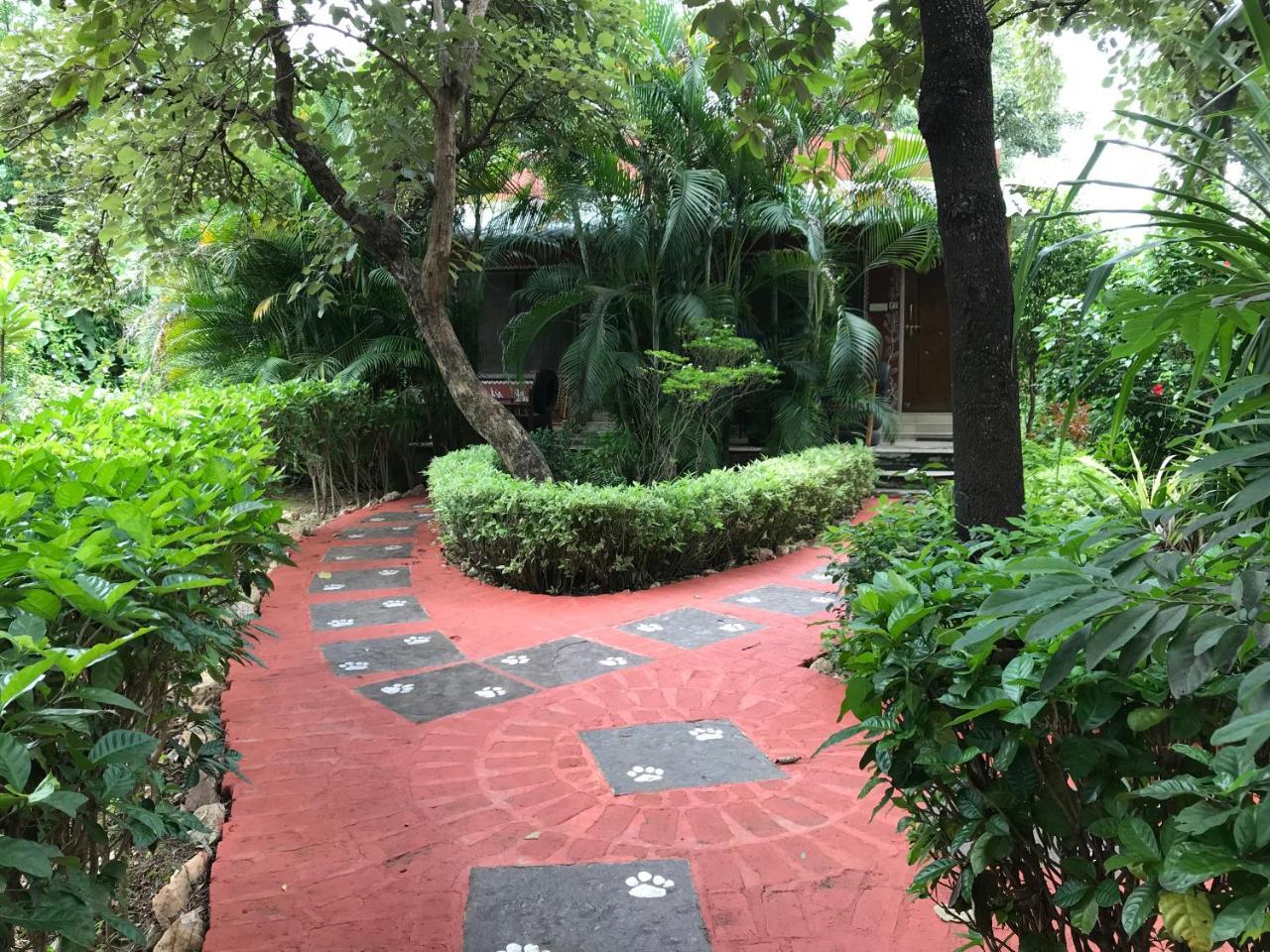 Baaz Jungle Resort Khawāsa エクステリア 写真