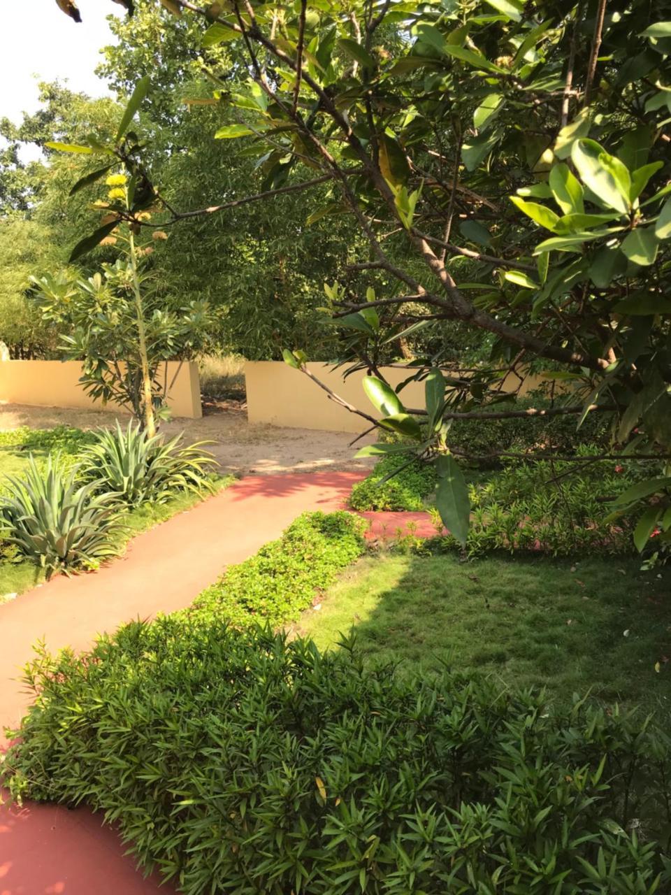 Baaz Jungle Resort Khawāsa エクステリア 写真